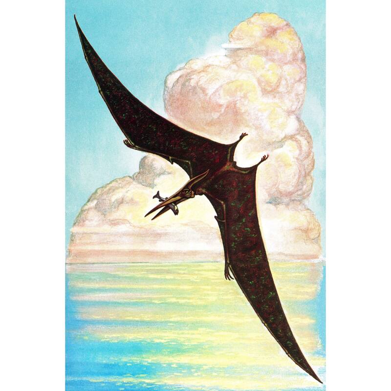Marmont Hill 'Pterodactyl' by Curtis Painting Print on Canvas - Multi-color