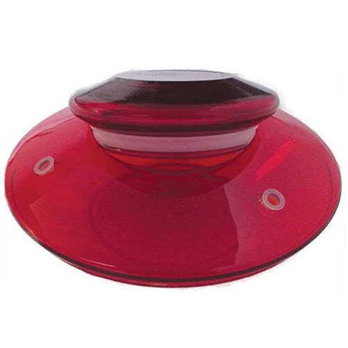 Shop Top Fill Hummingbird Feeder In Green With Leaf Shaped Perch