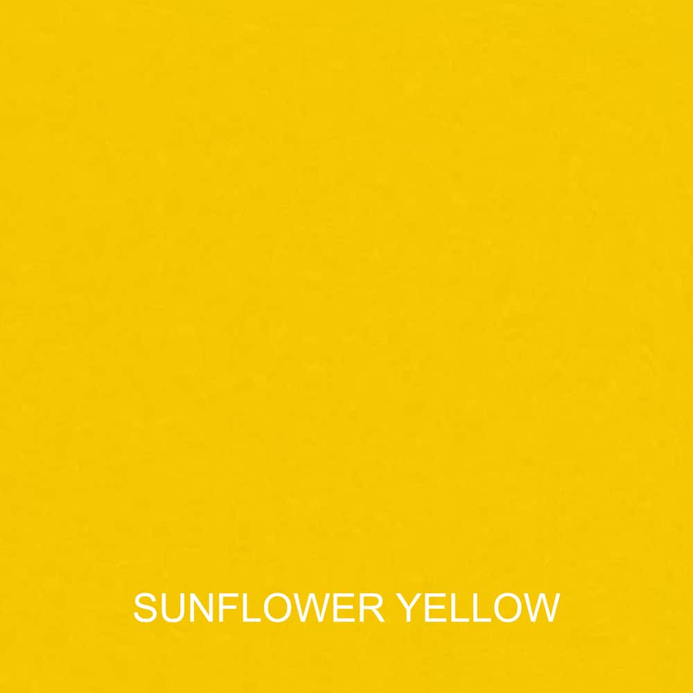 Sorra Home Sunbrella 2-piece Cushion and Pillow Indoor/Outdoor Set