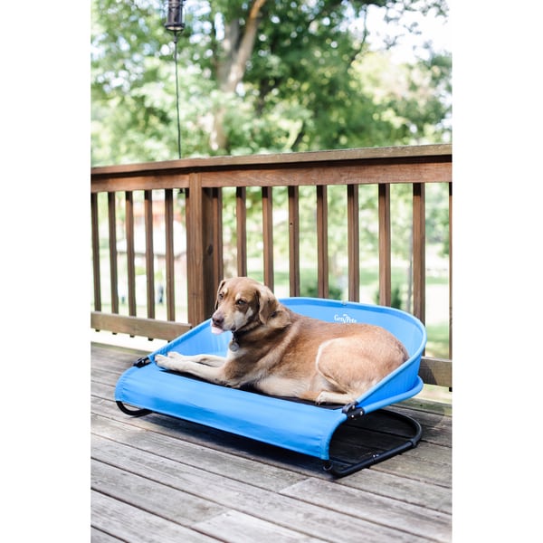 Shop Gen7 Cool-Air Pet Cot - Free Shipping Today - Overstock.com - 11739386