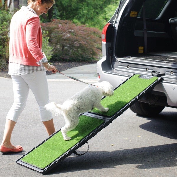 tri fold dog ramp for car