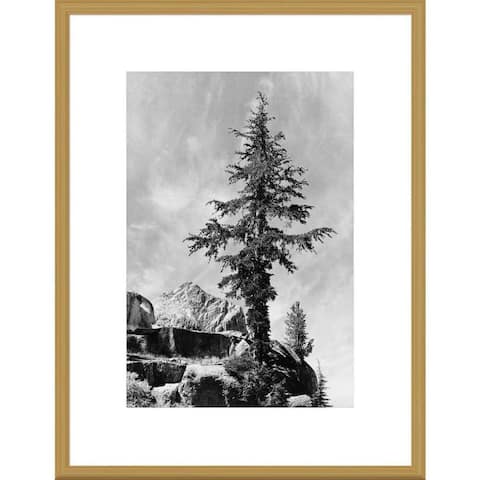 Global Gallery, Ansel Adams 'Tree and unnamed peak, Kings River Canyon, proposed as a national park,