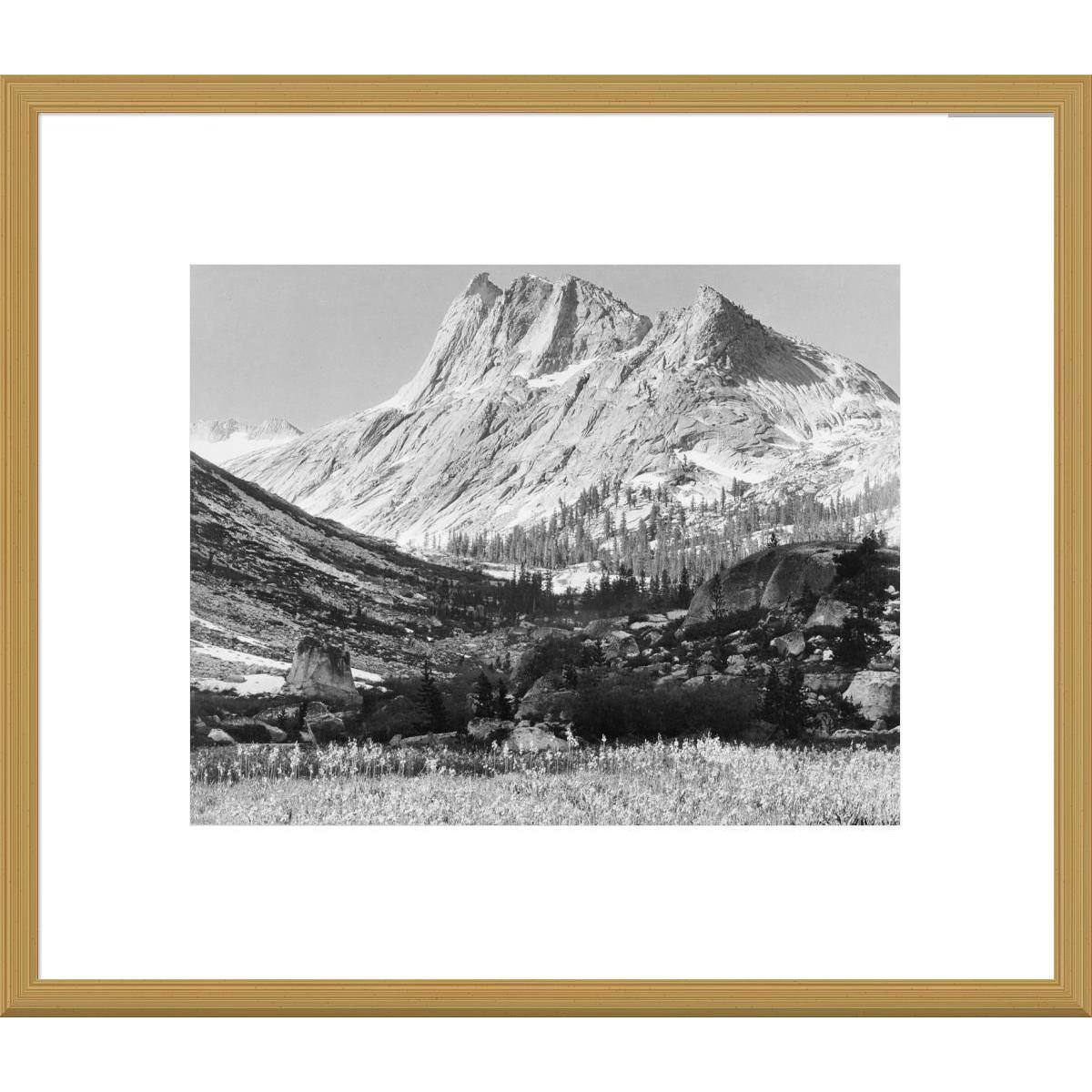 Global Gallery, Ansel Adams 'Boaring River, Kings Region, Kings River ...