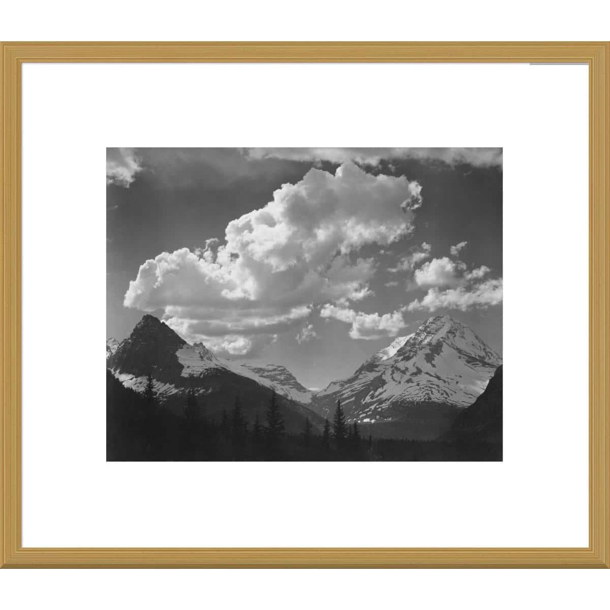 Global Gallery Ansel Adams 'Trees in Glacier National Park, Montana ...