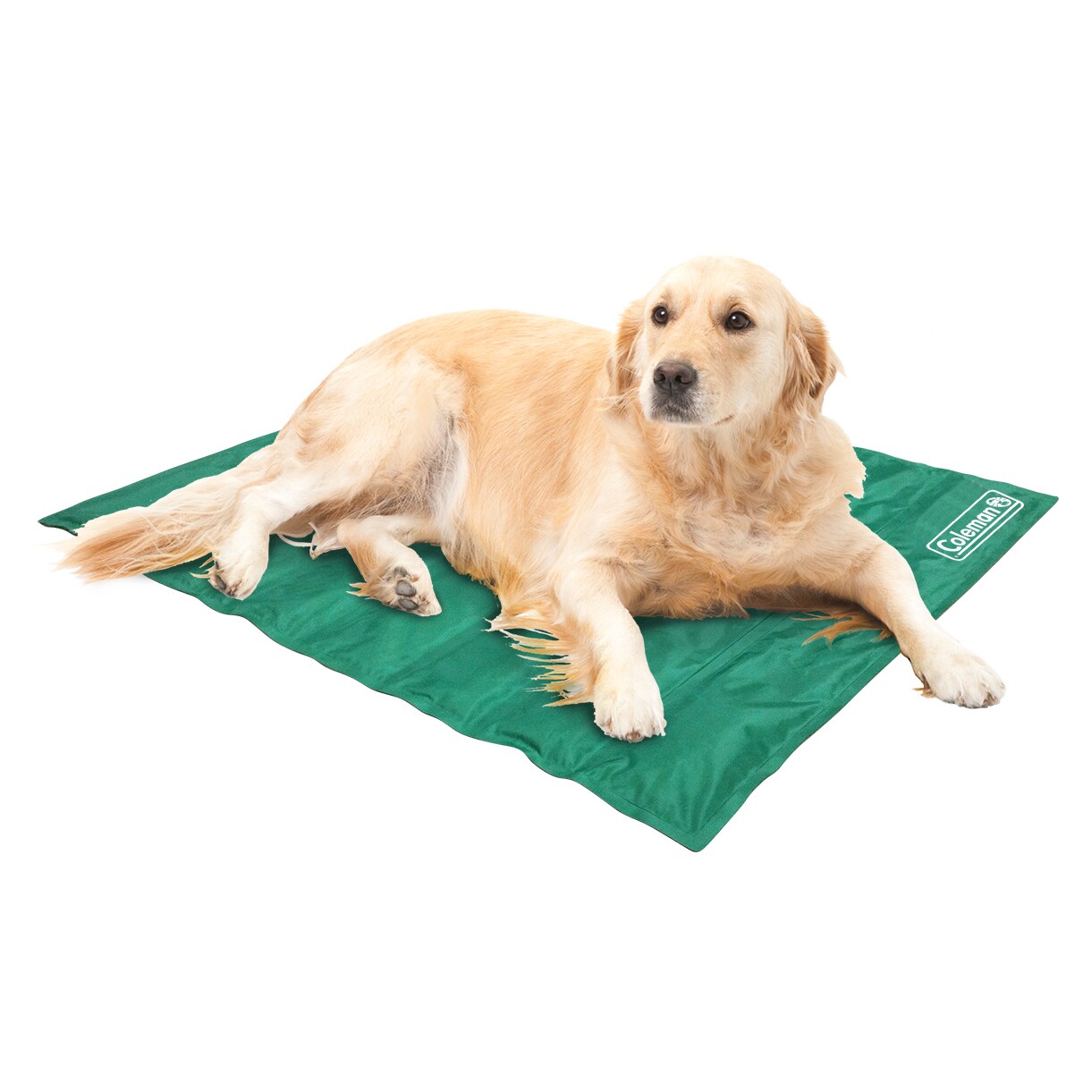 coleman dog cot