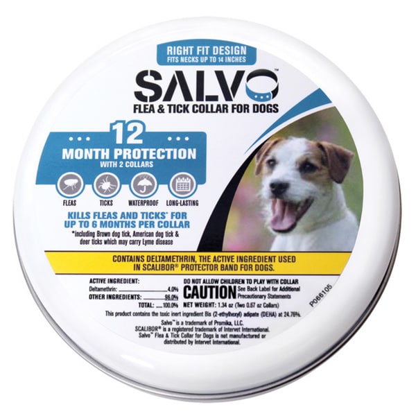 lhasa apso potty training