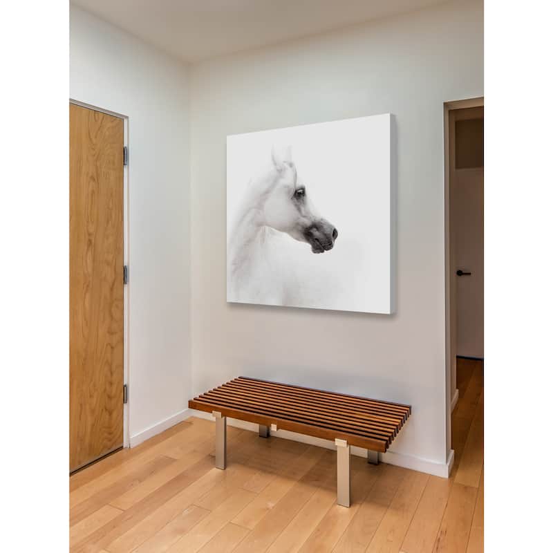 Marmont Hill - Shaded Muzzle Print on Canvas - Multi-Color