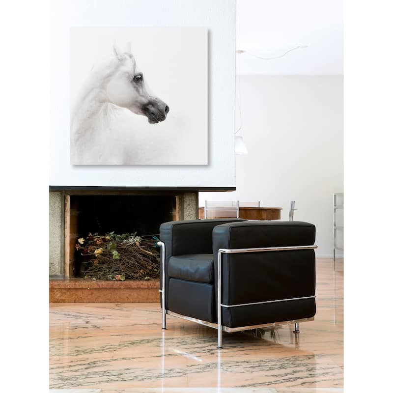 Marmont Hill - Shaded Muzzle Print on Canvas - Multi-Color
