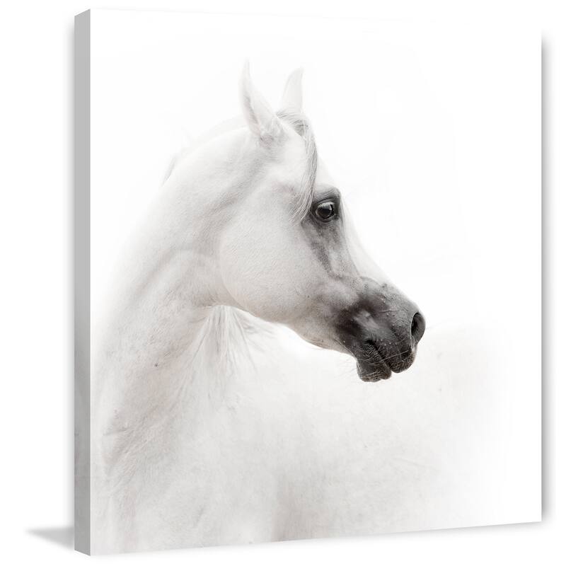 Marmont Hill - Shaded Muzzle Print on Canvas - Multi-Color