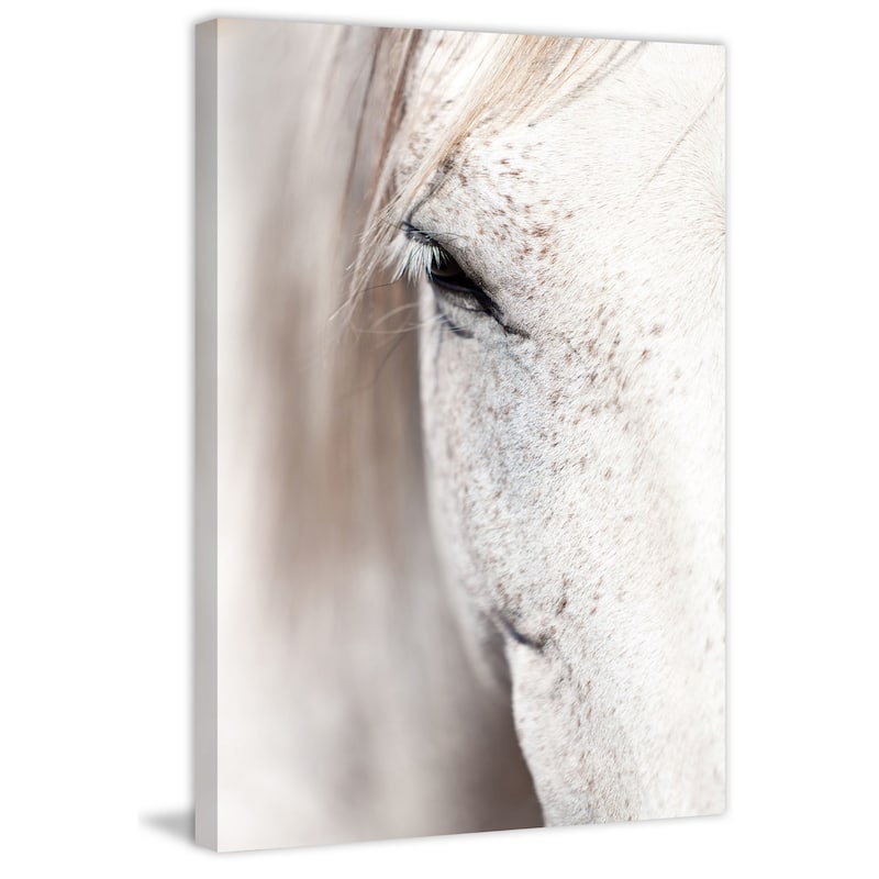 Marmont Hill 'Horse Eye' Print on Canvas - Multi-Color