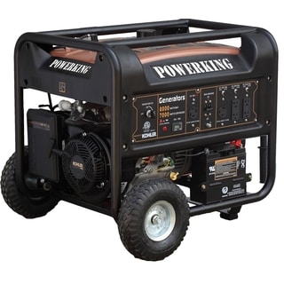 Pulsar Products 10,000-watt Gasoline Powered Portable Generator