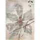 preview thumbnail 2 of 25, Nourison Euphoria Abstract Floral Area Rug