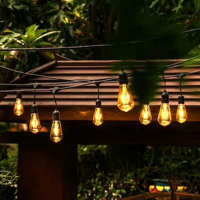 OVE Decors All-season 48-foot LED Edison Bulb String Light - Black