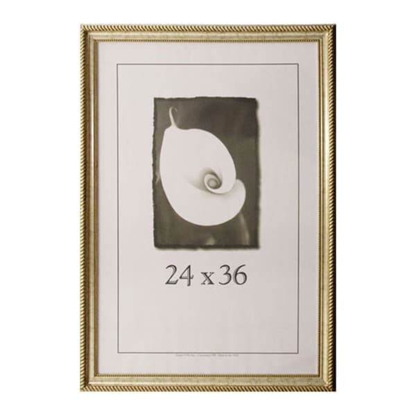 Shop Napoleon 24 inches x 36 inches Picture Frame - Free ...