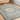 Alexander Home Kendrick Medallion Oriental Distressed Rug