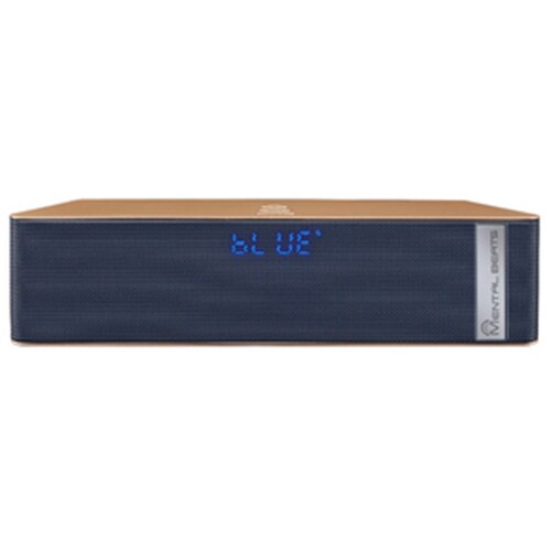 mental beats shower speaker