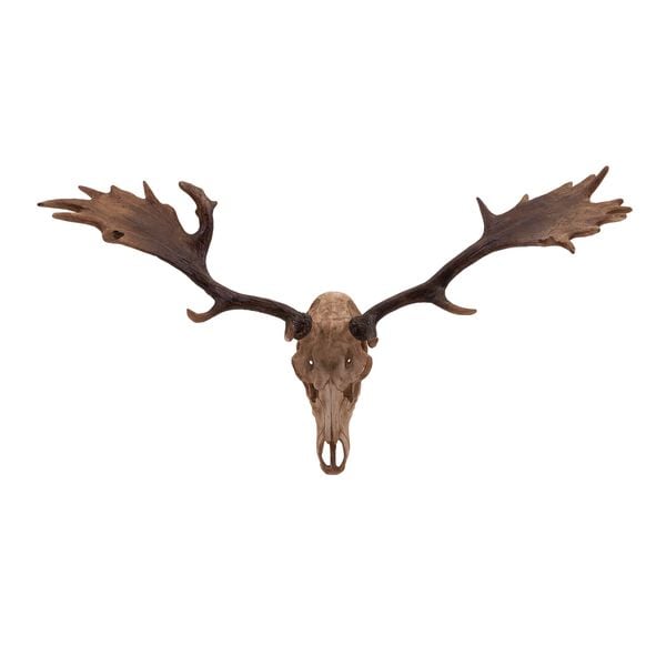 Trisha Yearwood Cowboy Deer Head Wall Décor On Free Trisha Yearwood Cowboy Deer Head Wall Décor