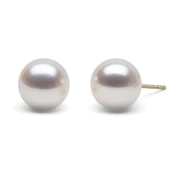 Pearlyta 14k White Gold Aaa Quality Freshwater Cultured Pearl Pearlyta 14k White Gold Aaa Quality Freshwater Cultured Pearl Stud Earrings 7 5mm