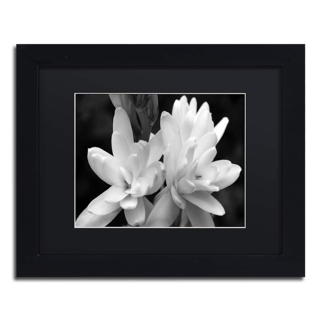 Kurt Shaffer 'Tuber Rose in Black and White' Matted Framed Art