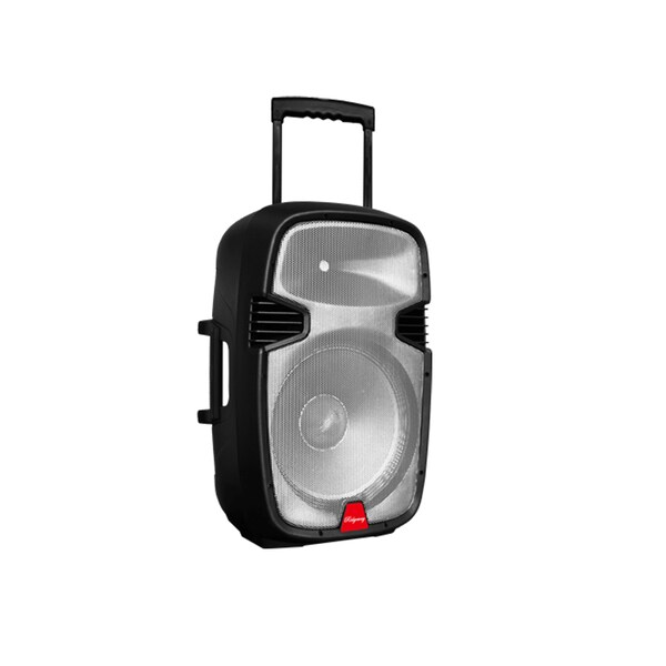 ridgeway bluetooth speaker 15 inch