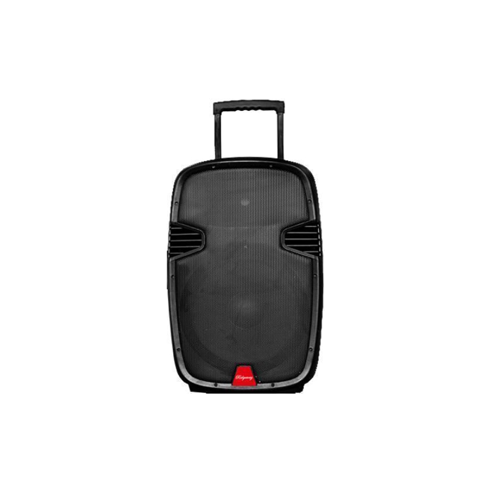 ridgeway portable pa speaker