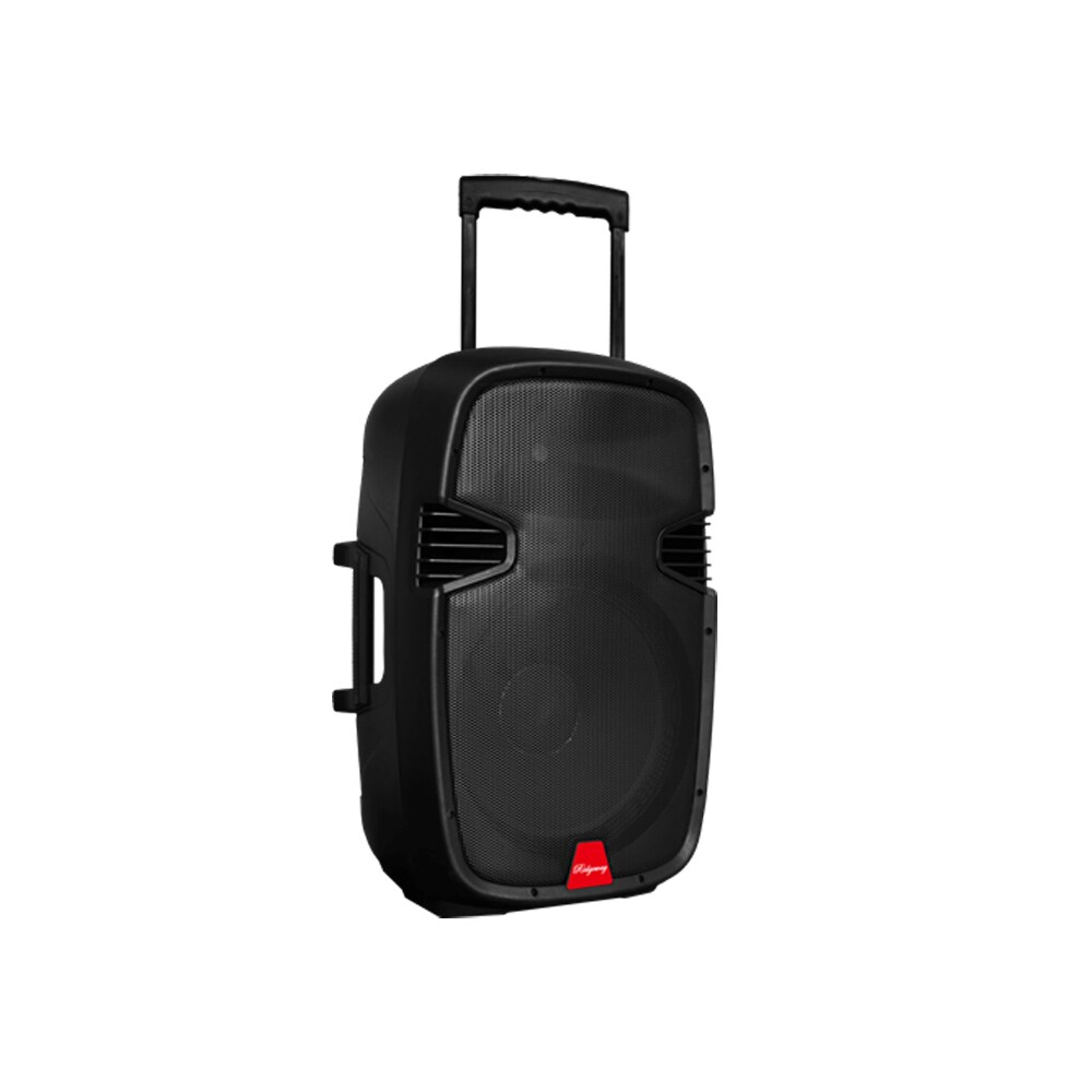 ridgeway portable pa speaker