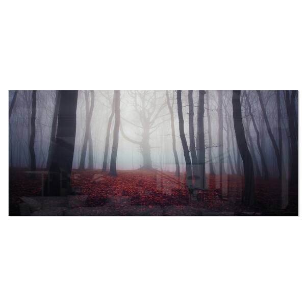 Designart Dark Spooky Misty Forest Landscape Photo Metal Wall Art Overstock