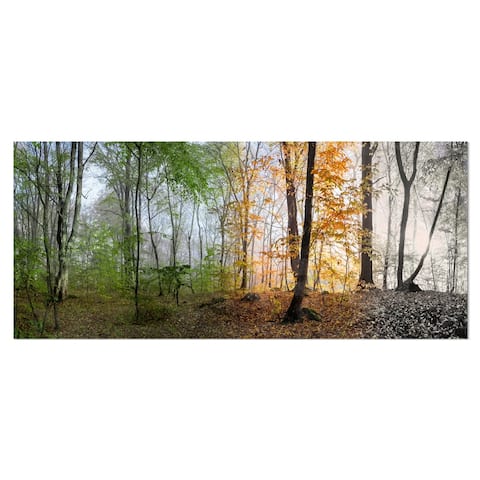 Designart 'Morning Forest Panorama' Landscape Photo Metal Wall Art