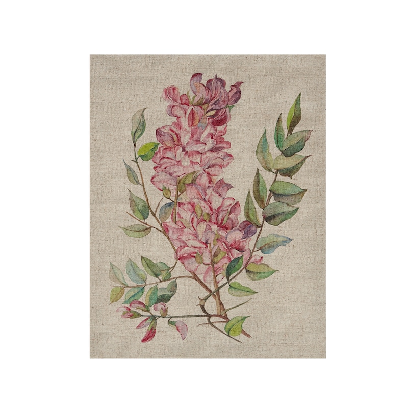 Madison Park Linen Botanicals Illustration 3-piece Canvas Wall Art Set - Multi