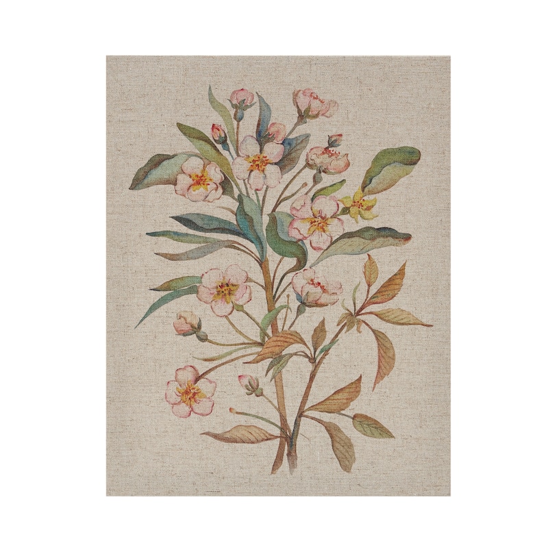 Madison Park Linen Botanicals Illustration 3-piece Canvas Wall Art Set - Multi