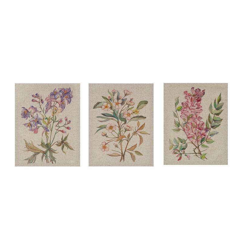 Madison Park Linen Botanicals Illustration 3-piece Canvas Wall Art Set - Multi