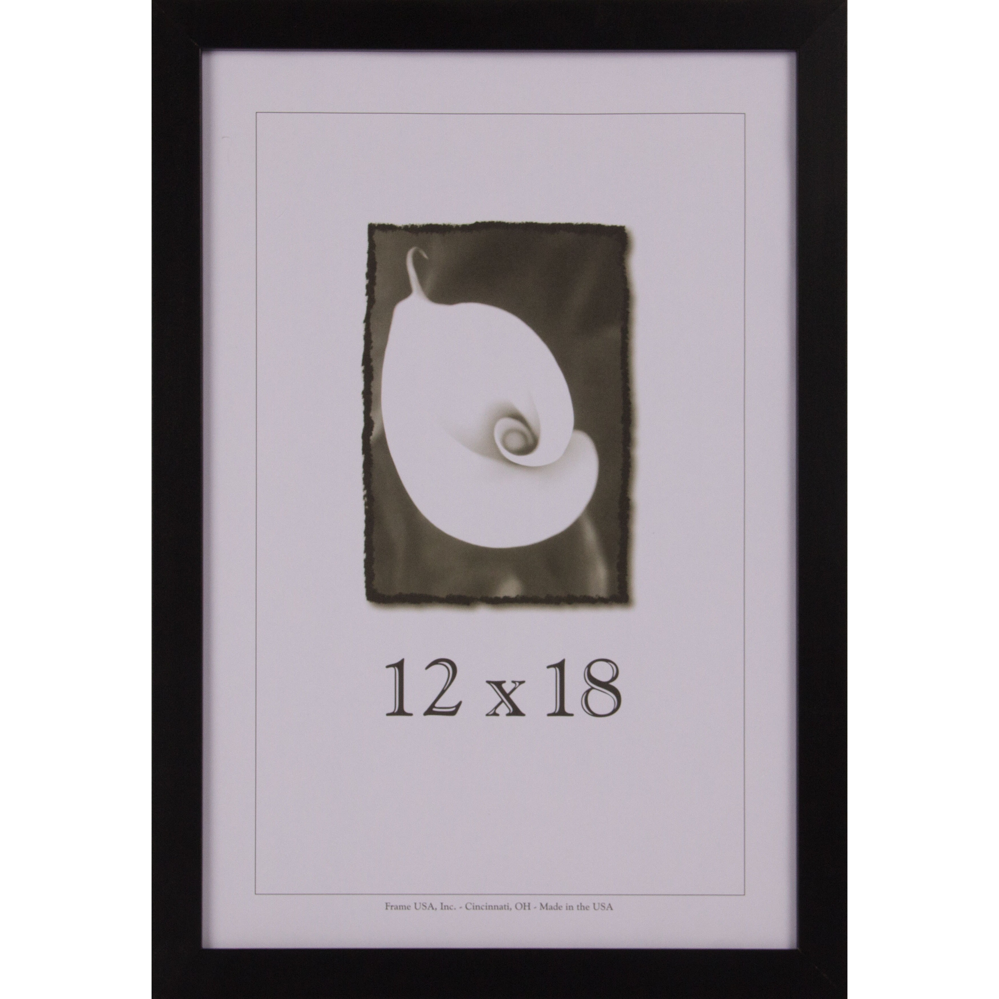 12 X 18 Frame