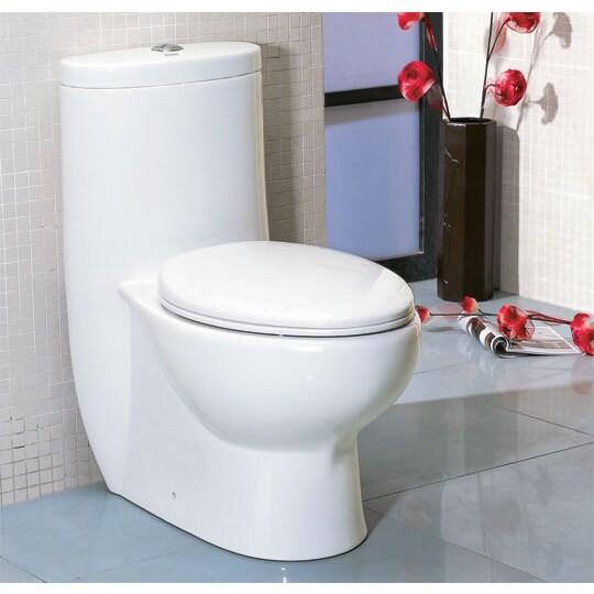 EAGO-TB309-TALL-DUAL-FLUSH-ONE-PIECE-ECO-FRIENDLY-HIGH-EFFICIENCY-LOW-FLUSH-CERAMIC-TOILET-f7b88116-b22c-4988-8803-ab9e22176e25.jpg