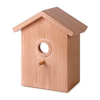 Premium Bird House, Birdhouse Kits for Kids, Bird House Kits for Children  to B