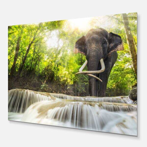 Designart Erawan Waterfall With Elephant Photography Metal Wall Art Overstock 11867781