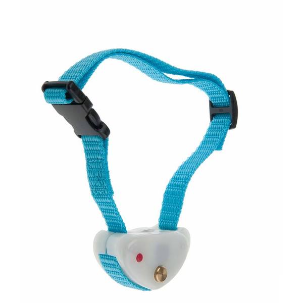 eyenimal dog collar