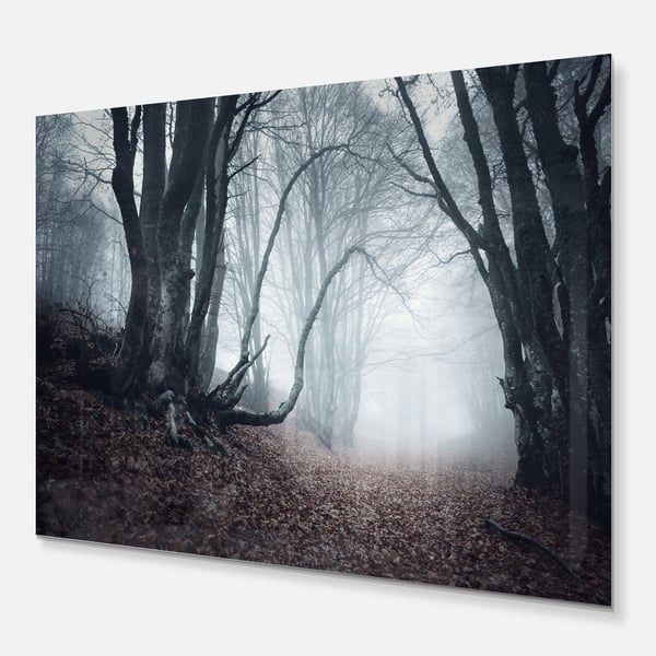 Designart Mysterious Fairytale Foggy Wood Landscape Photo Metal Wall Art Overstock 11871178