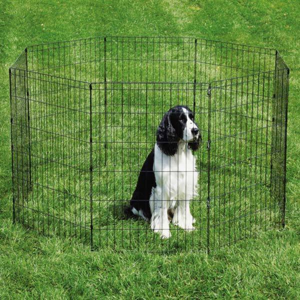 dog kennel pen