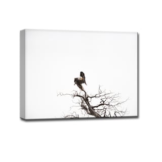 Bald Eagle' Nature Photography Canvas Print