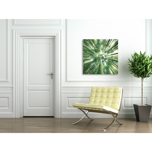Benjamin Parker 'Bamboo' Tempered Glass Art Free Shipping Today
