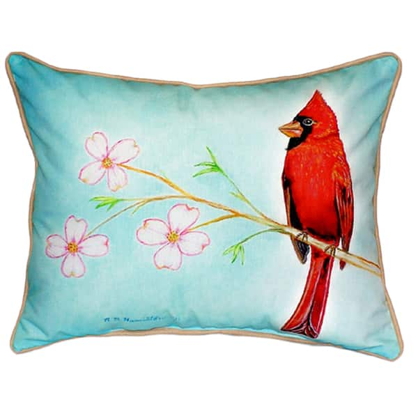 https://ak1.ostkcdn.com/images/products/11917355/Dicks-Cardinal-Multi-color-Polyester-Indoor-Outdoor-Throw-Pillow-51f51c61-db6d-4cc6-a1c7-ea6ce9bdcebe_600.jpg?impolicy=medium