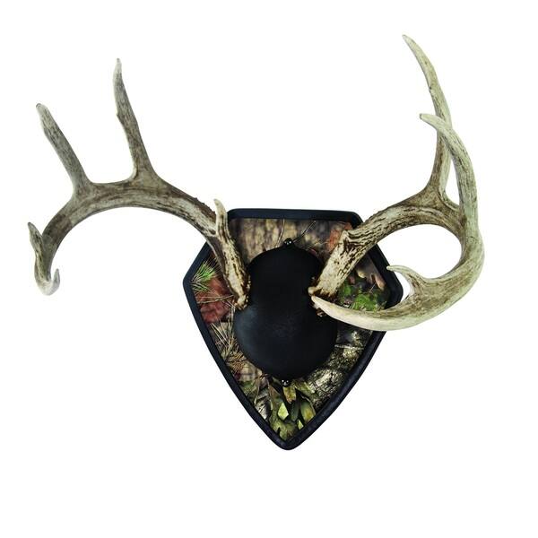 Allen Big Buck Mossy Oak Trophy Mounting Kit - Bed Bath & Beyond - 11929449