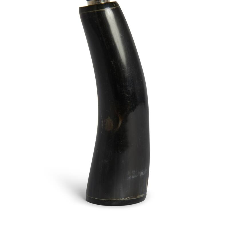 Horn Nickel-plated Handle Magnifying Glass