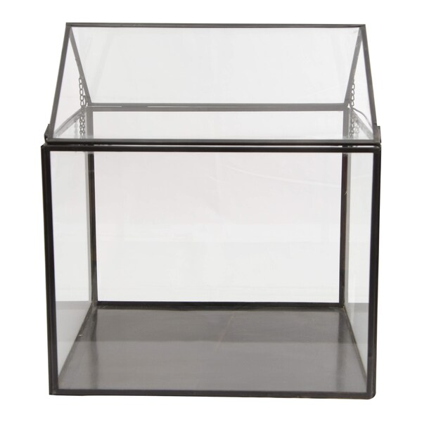 Glass/Metal Terrarium Free Shipping Today 18847185