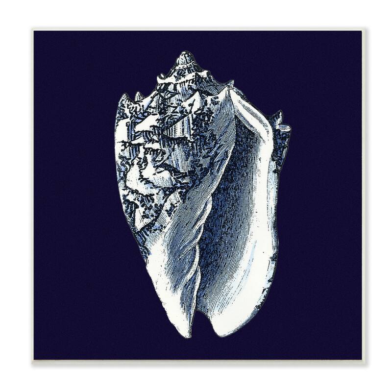 Stupell Prints Distressed Navy and White Conch Shell Wall Art Print