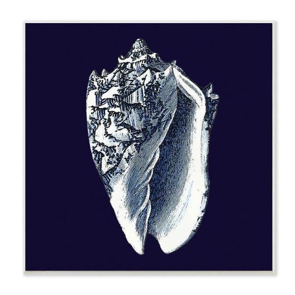 slide 2 of 5, Stupell Prints Distressed Navy and White Conch Shell Wall Art Print