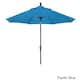 Option Pacific Blue