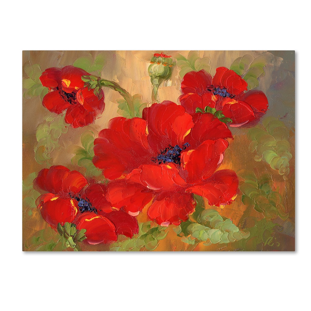 'Poppies' Canvas Art