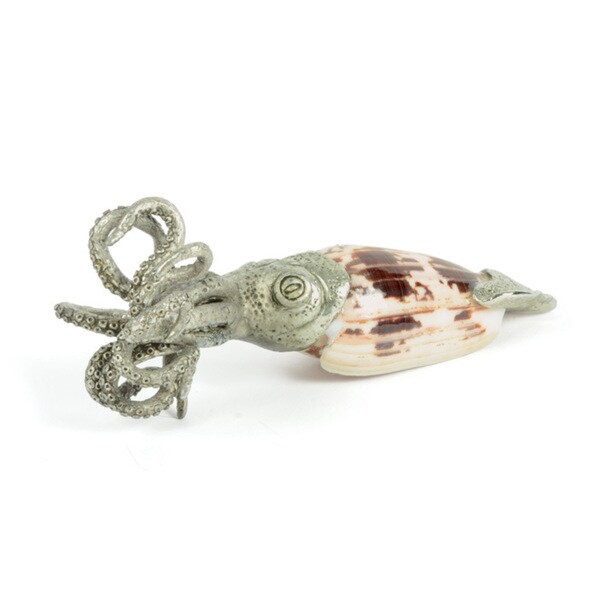 Shell Squid