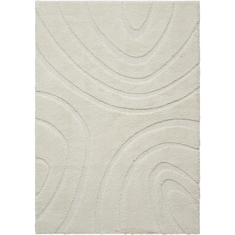 Nourison Austin ASTN1 Shag Area Rug